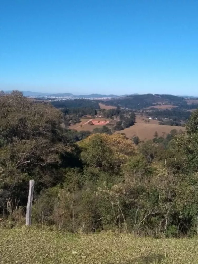 Sítio, 3 quartos, 6 hectares - Foto 14