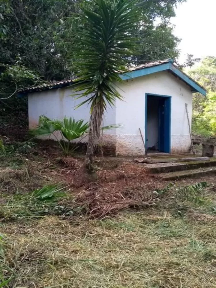 Sítio, 3 quartos, 6 hectares - Foto 43