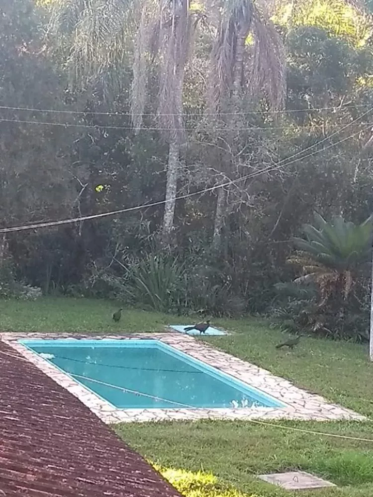 Sítio, 3 quartos, 6 hectares - Foto 17