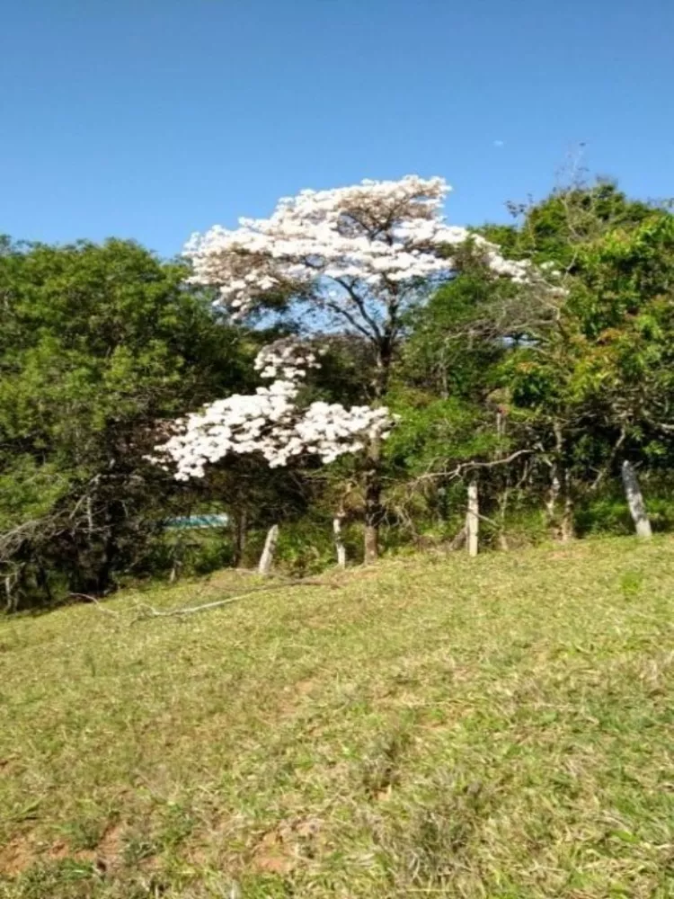 Sítio, 3 quartos, 6 hectares - Foto 1