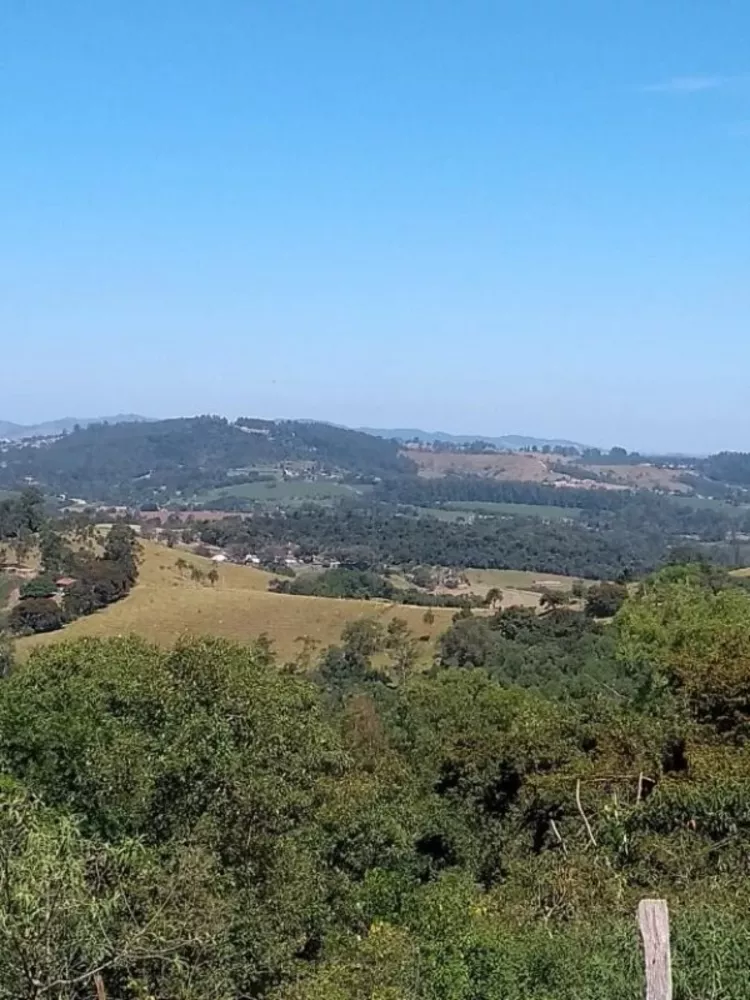 Sítio, 3 quartos, 6 hectares - Foto 7