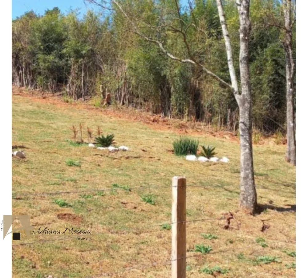 Terreno, 2 hectares - Foto 9