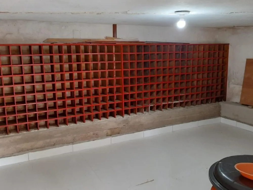 Chácara, 5 quartos, 4032 m² - Foto 3