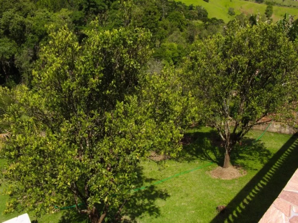 Chácara, 3 quartos, 1080 m² - Foto 11