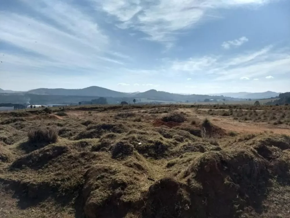 Terreno à venda, 20000m² - Foto 4