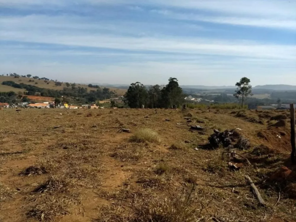 Terreno à venda, 20000m² - Foto 5