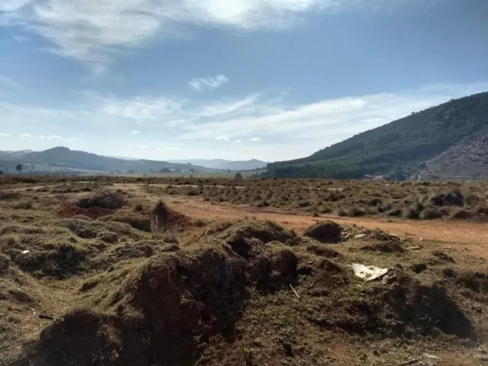 Terreno à venda, 20000m² - Foto 1