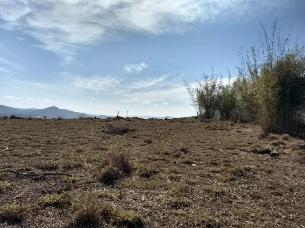 Terreno à venda, 20000m² - Foto 8