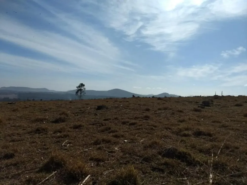 Terreno, 2 hectares - Foto 10