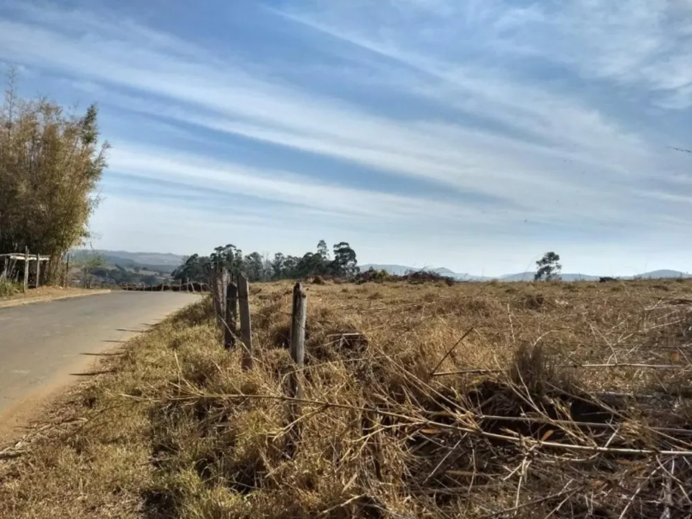 Terreno à venda, 20000m² - Foto 3