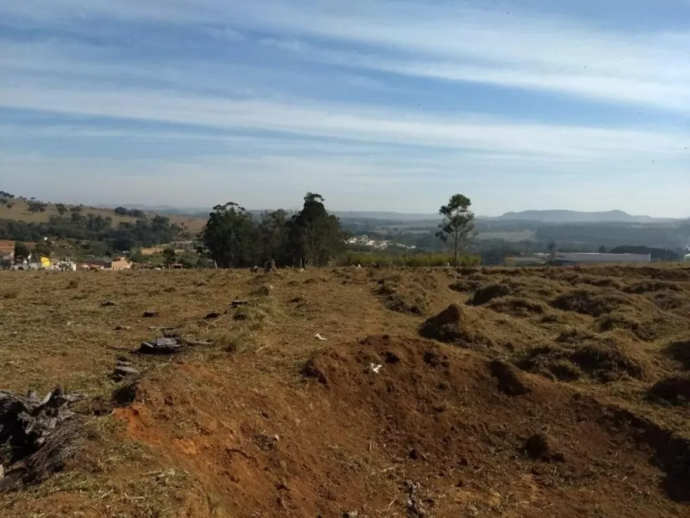 Terreno à venda, 20000m² - Foto 2