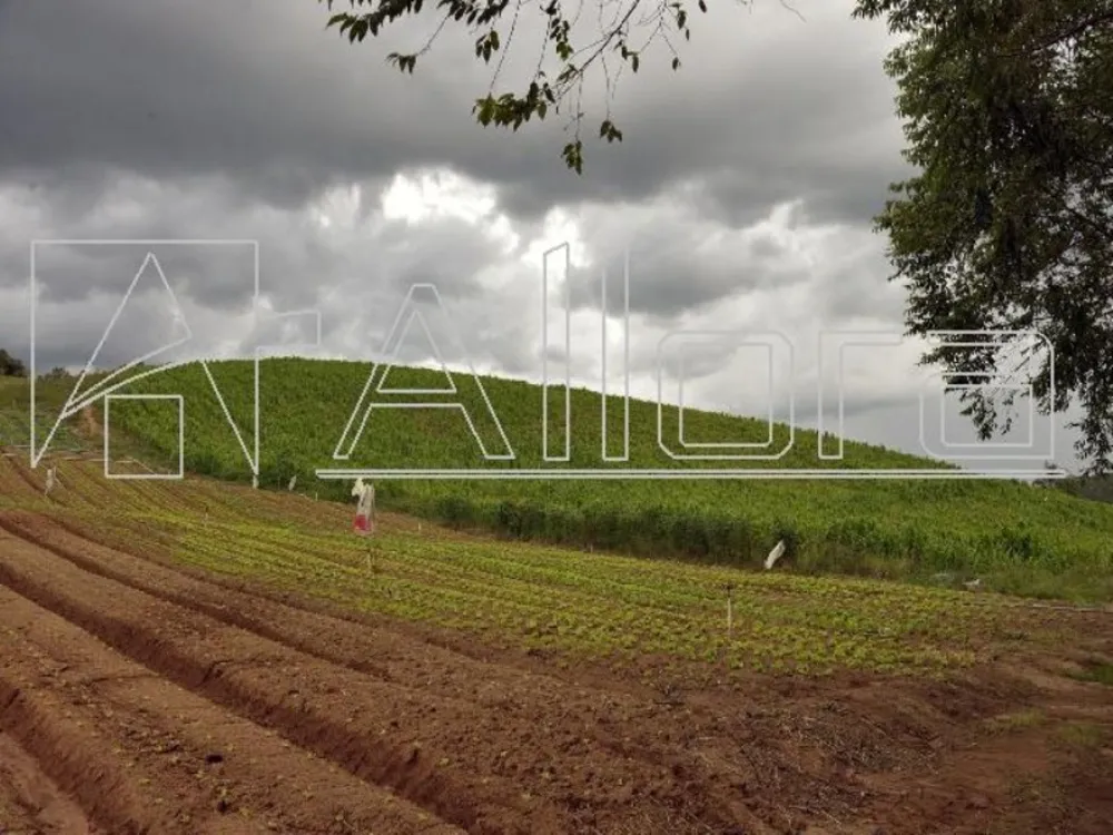 Sítio, 1 quarto, 48 hectares - Foto 4