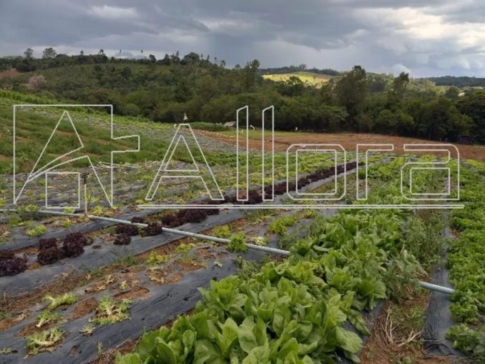 Sítio, 1 quarto, 48 hectares - Foto 1