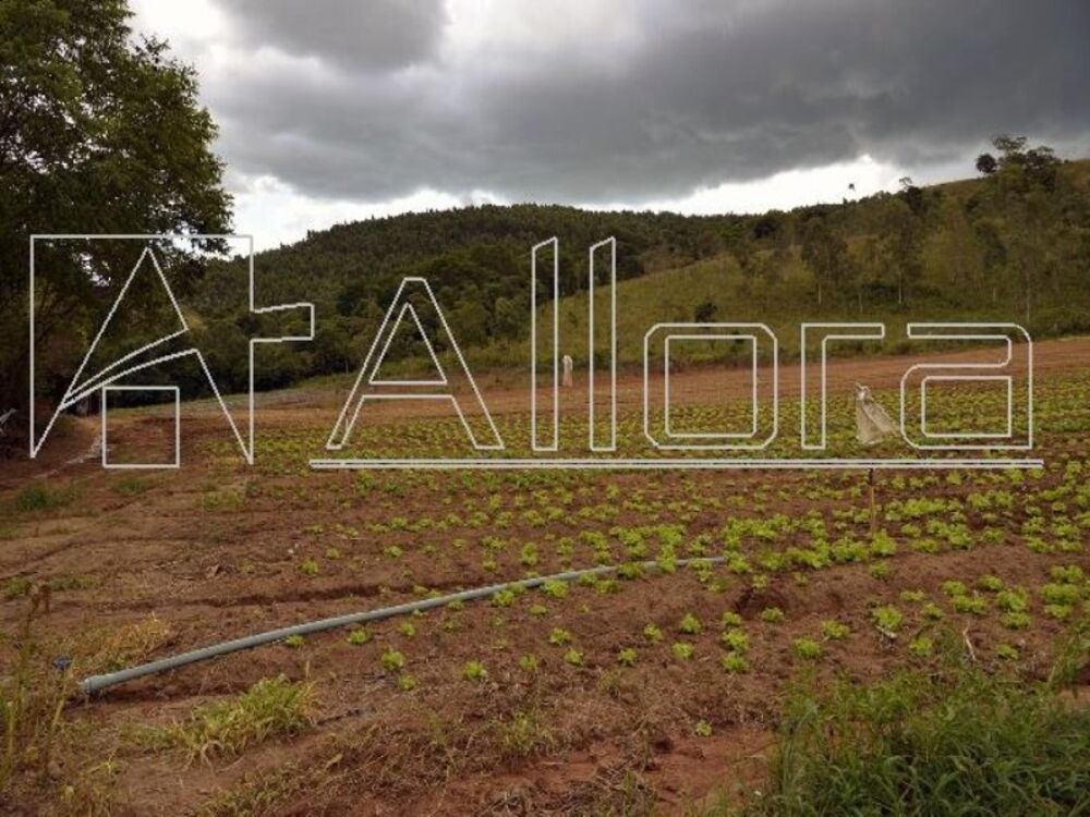 Sítio, 1 quarto, 48 hectares - Foto 2
