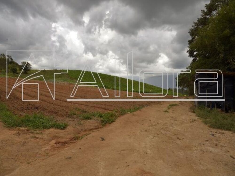 Sítio, 1 quarto, 48 hectares - Foto 1