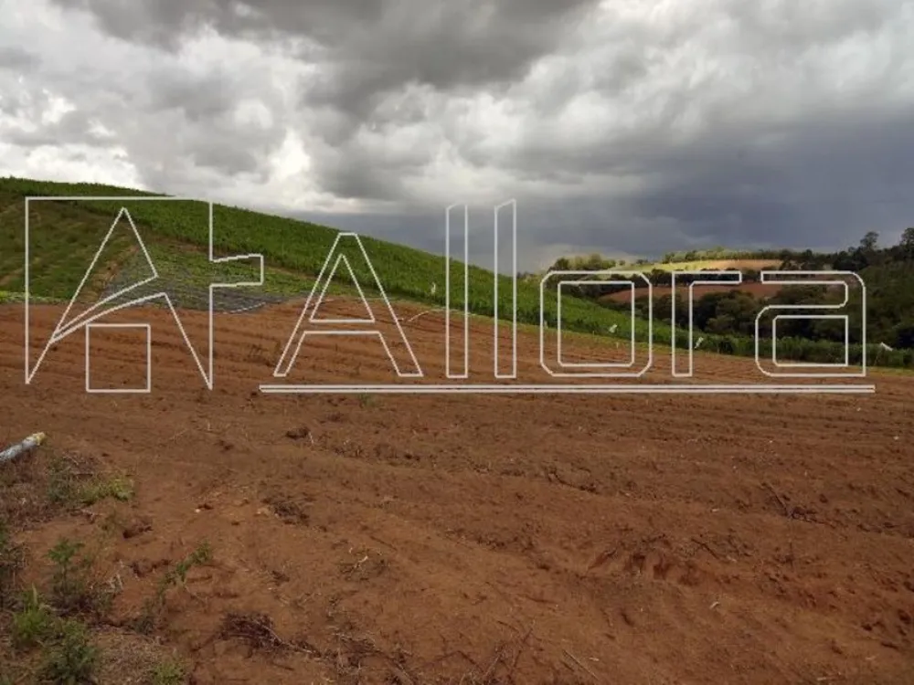 Sítio, 1 quarto, 48 hectares - Foto 3