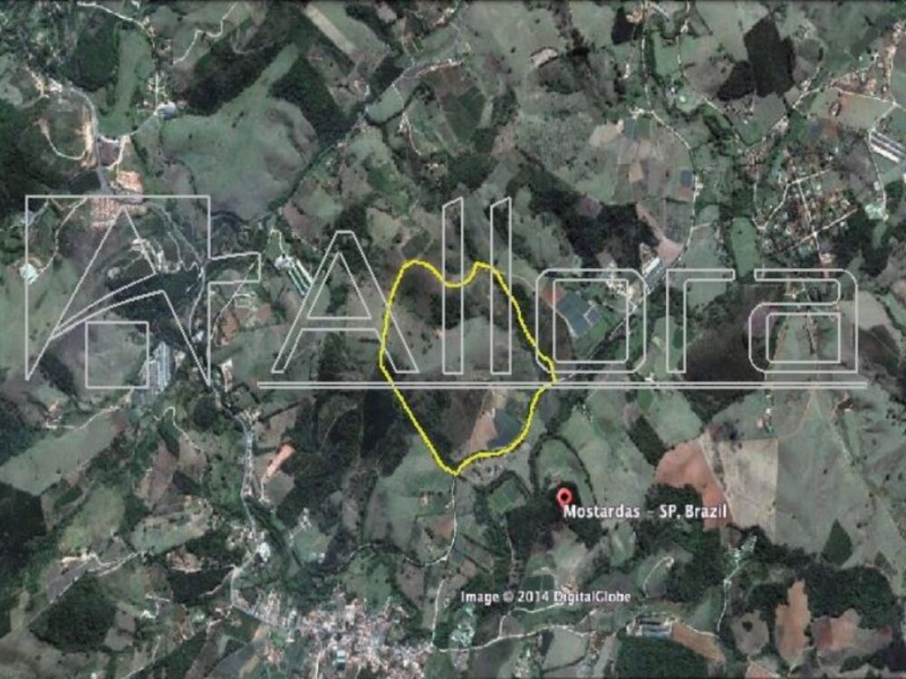 Sítio, 1 quarto, 48 hectares - Foto 4