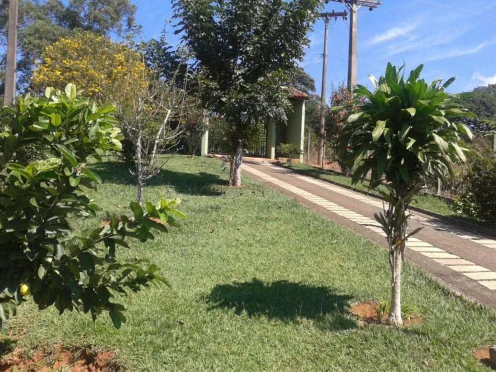 Chácara, 4 quartos, 9000 m² - Foto 10