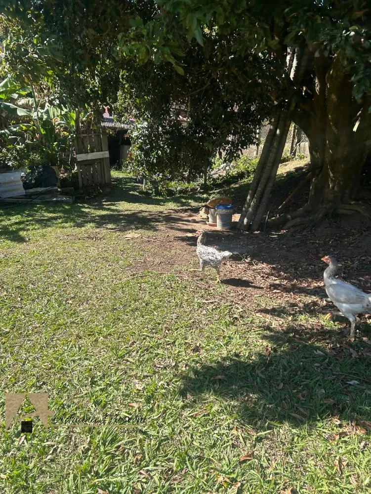 Chácara, 2 quartos, 2760 m² - Foto 1