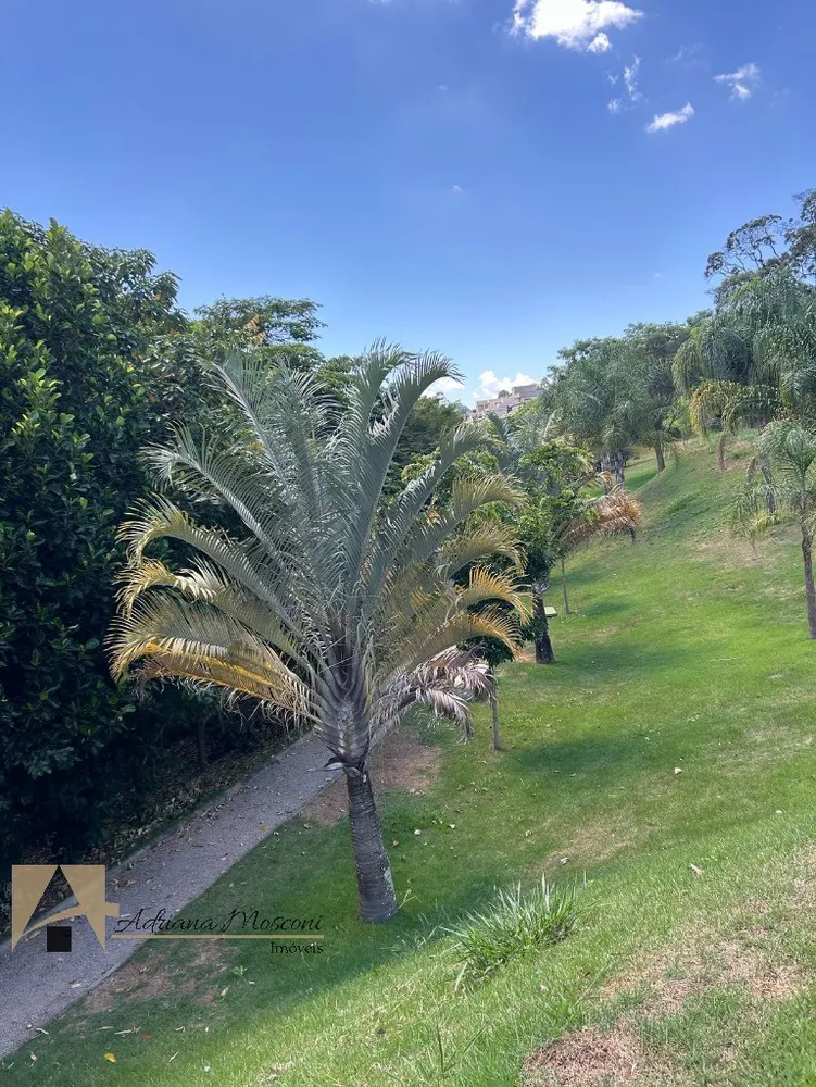 Terreno, 508 m² - Foto 6