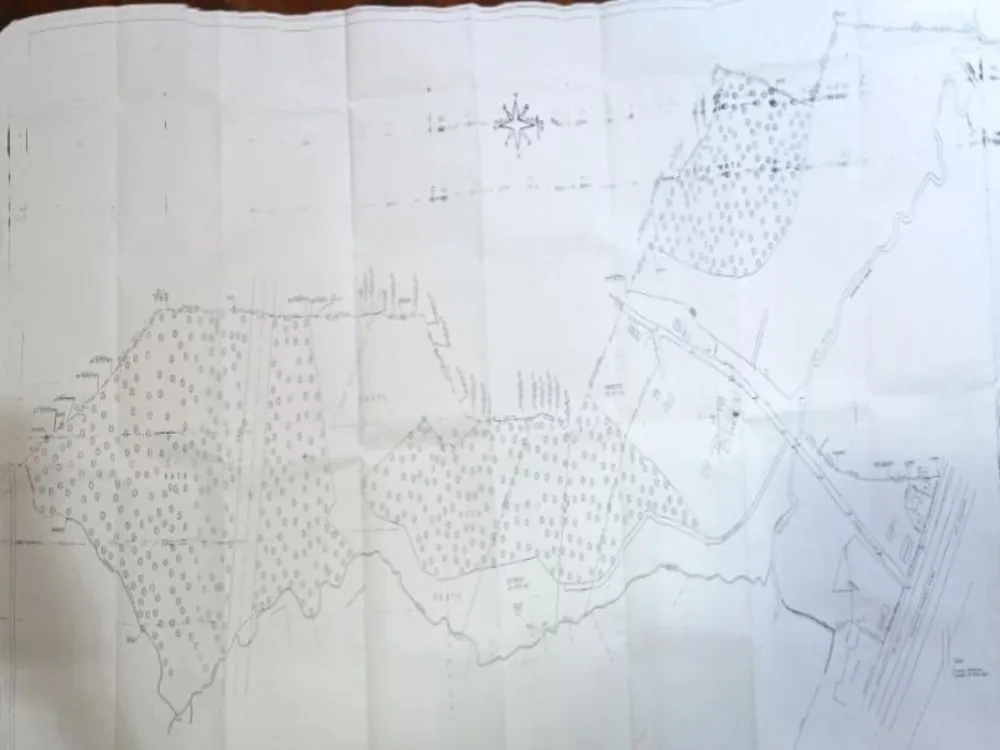 Terreno, 31 hectares - Foto 4