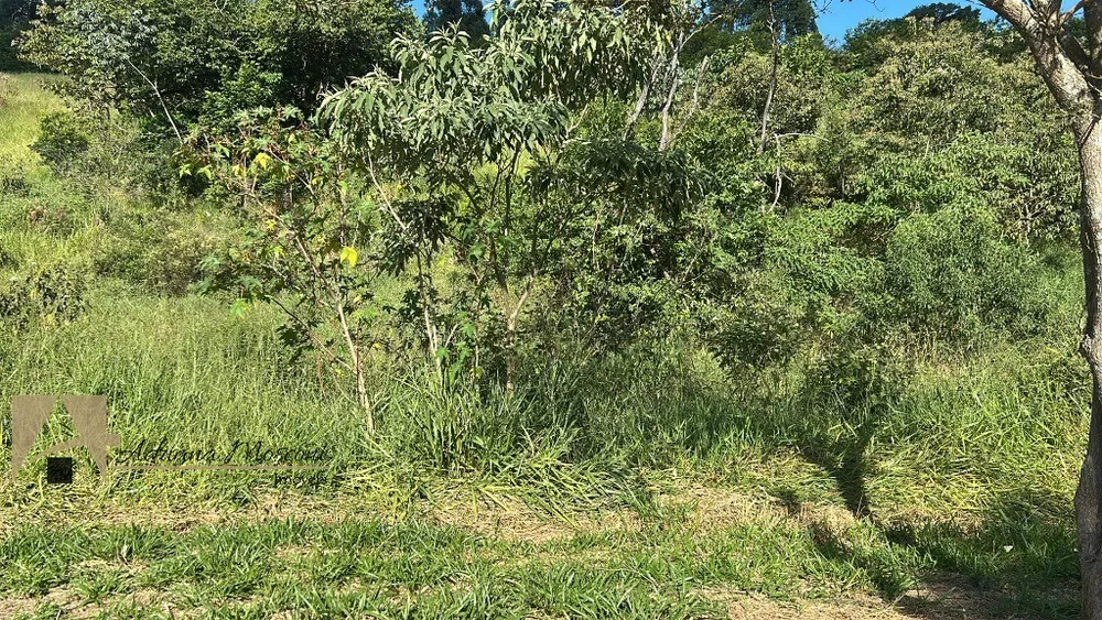 Terreno, 2434 m² - Foto 1