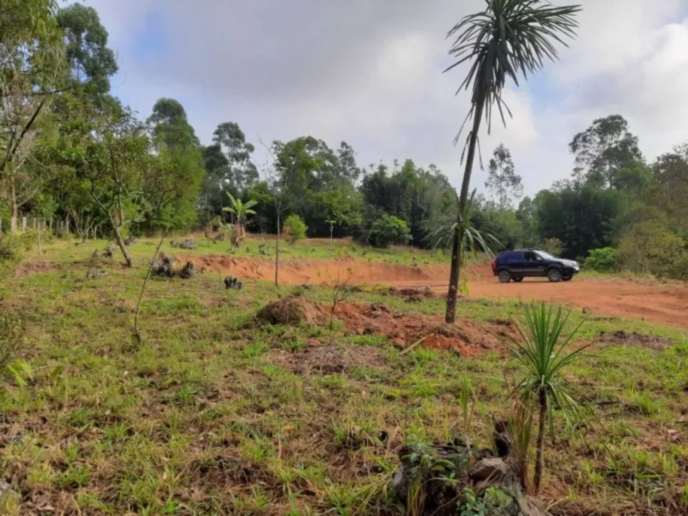 Terreno, 1 hectares - Foto 1