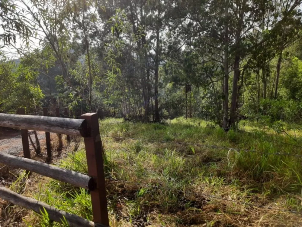 Terreno, 1 hectares - Foto 16