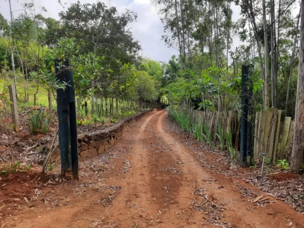 Terreno, 1 hectares - Foto 7