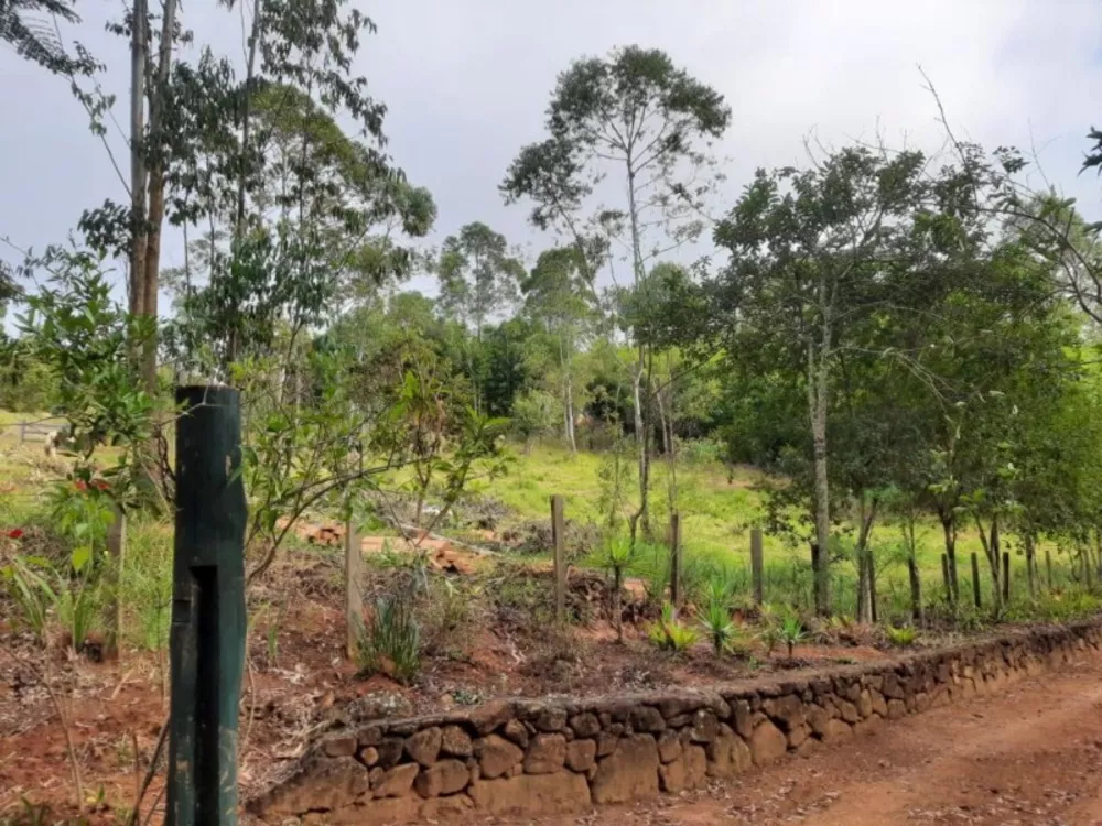 Terreno, 1 hectares - Foto 4