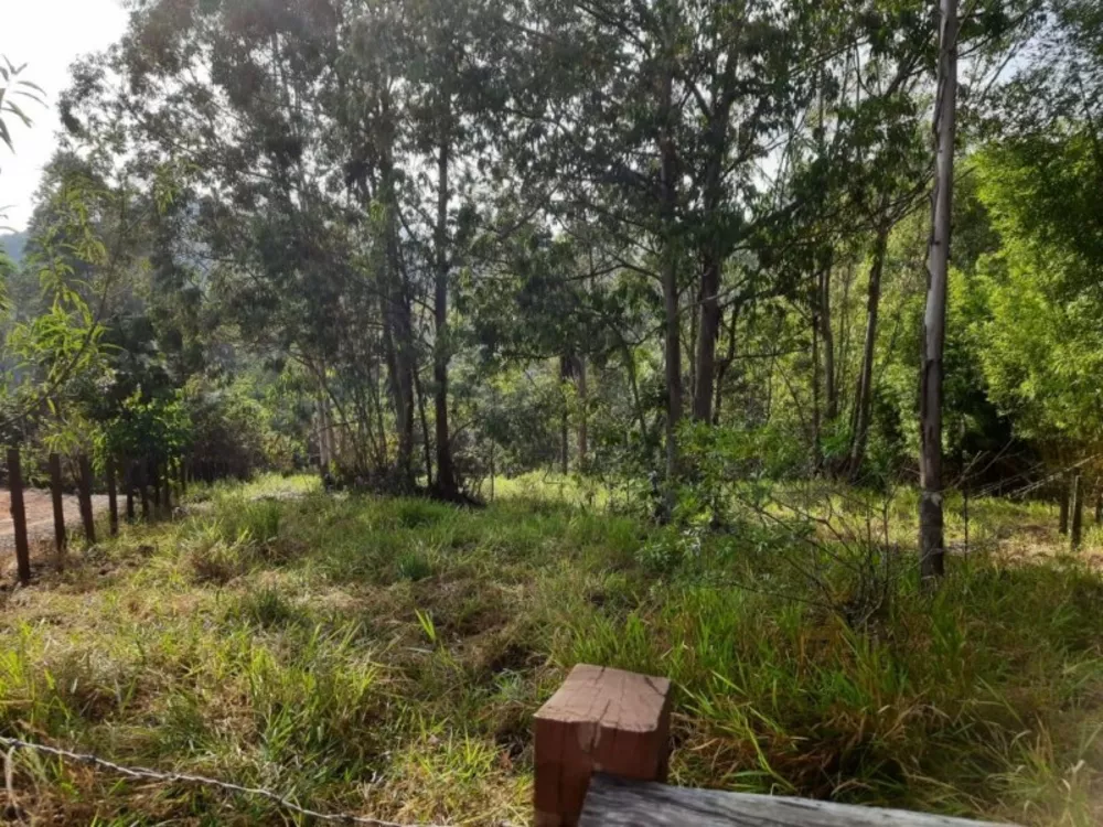 Terreno, 1 hectares - Foto 12