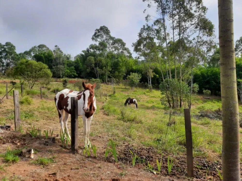 Terreno, 1 hectares - Foto 6