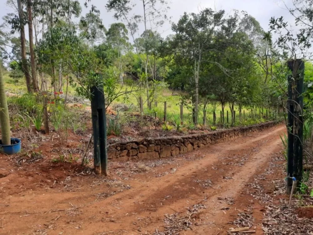 Terreno, 1 hectares - Foto 9