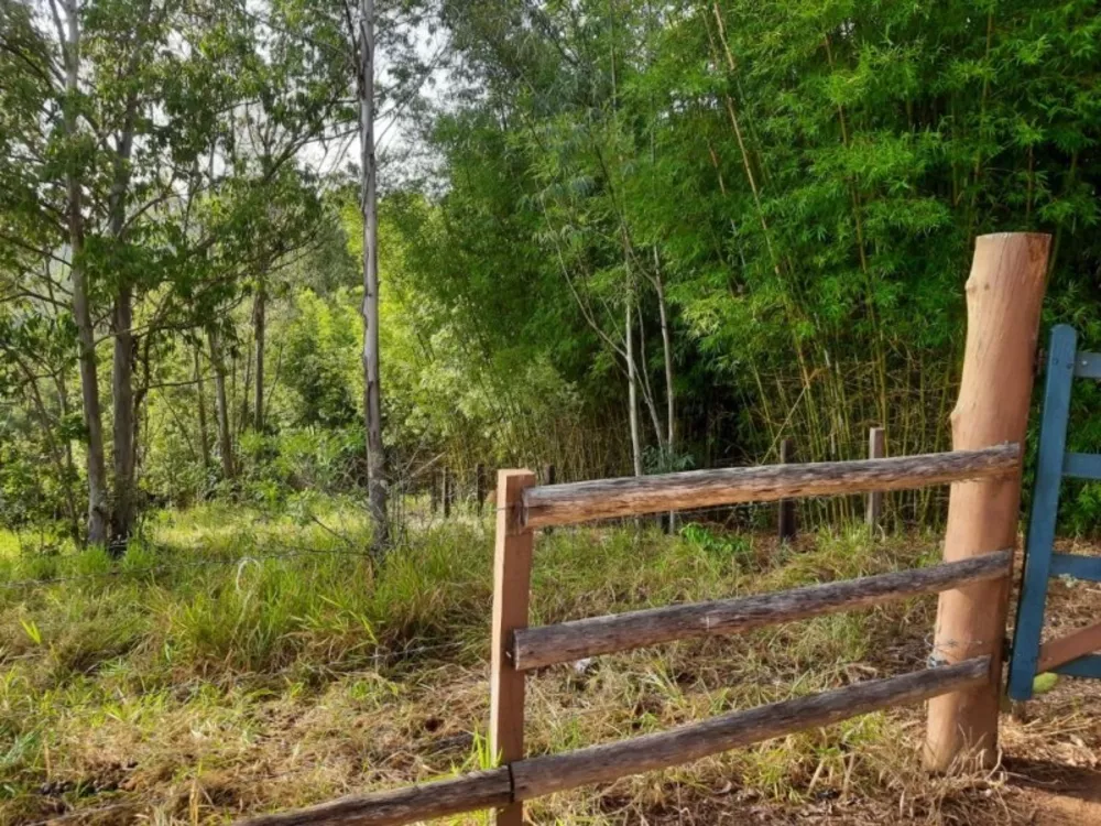 Terreno, 1 hectares - Foto 13