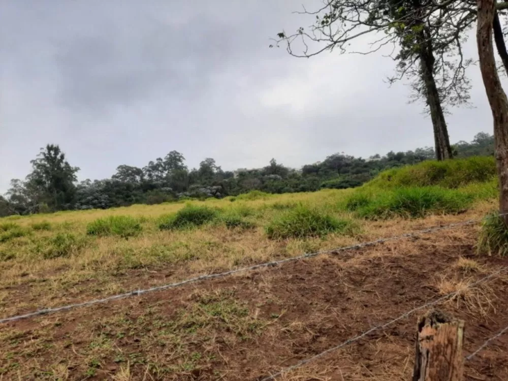 Terreno, 2 hectares - Foto 9