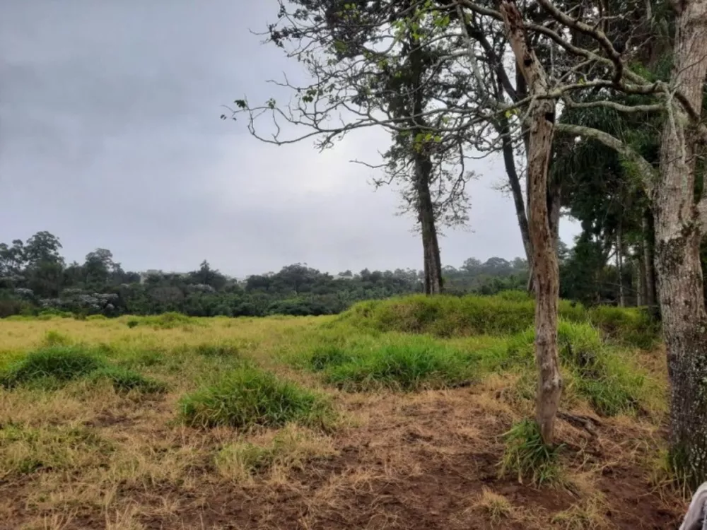 Terreno, 2 hectares - Foto 6