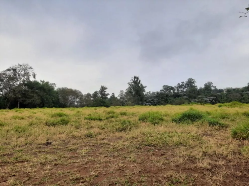 Terreno, 2 hectares - Foto 10