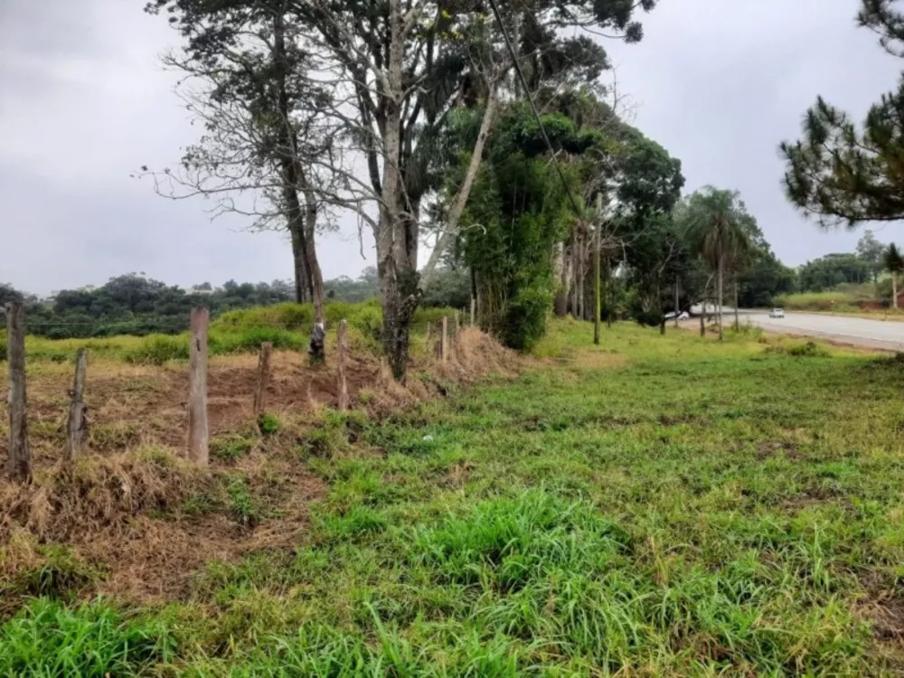 Terreno, 2 hectares - Foto 1