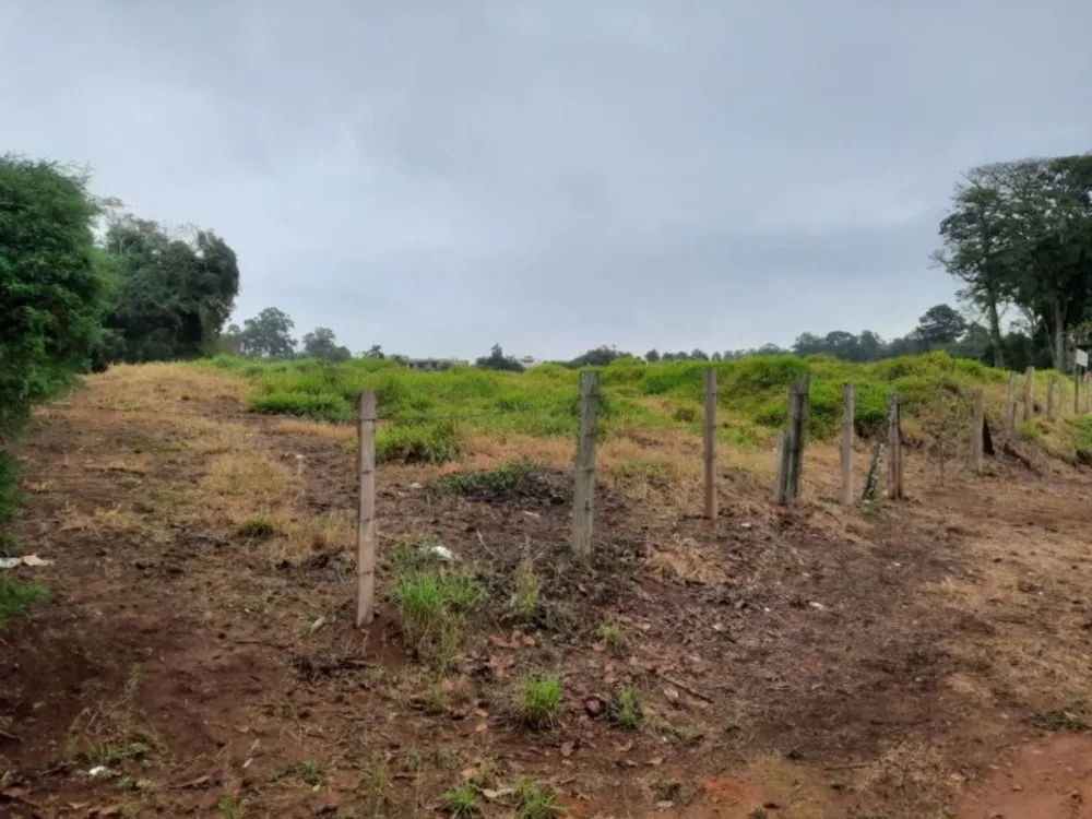 Terreno, 2 hectares - Foto 11