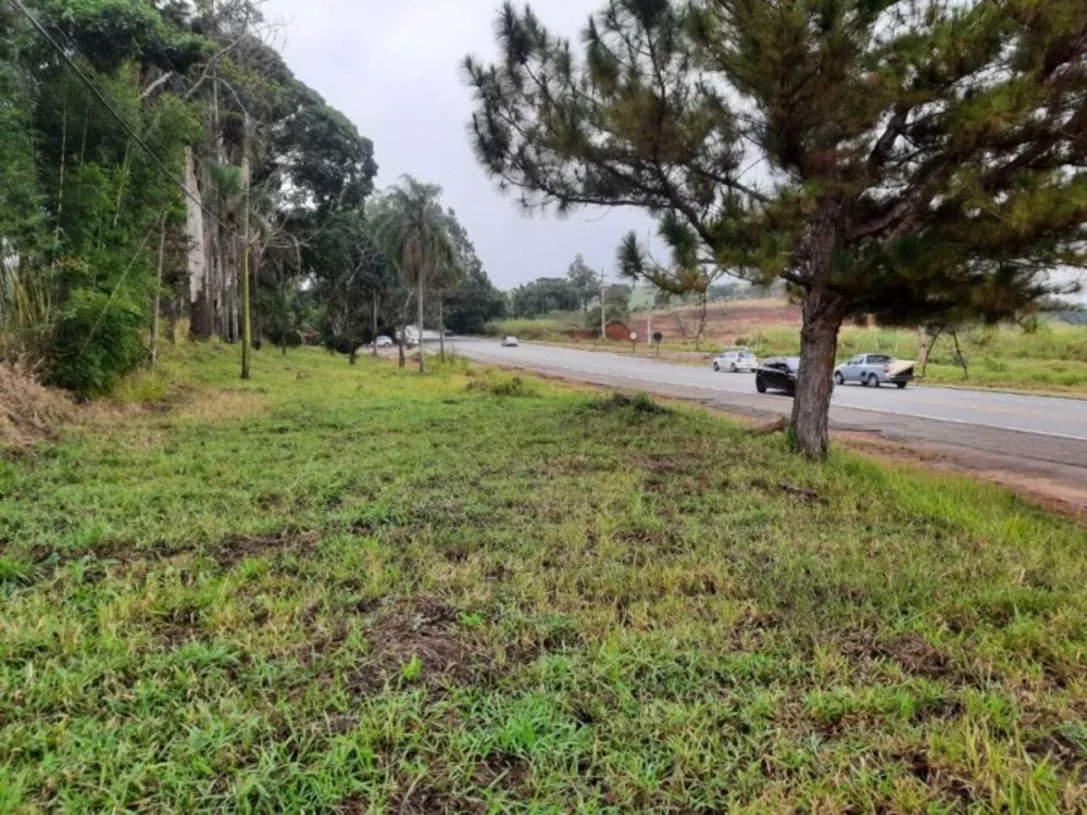 Terreno, 2 hectares - Foto 5