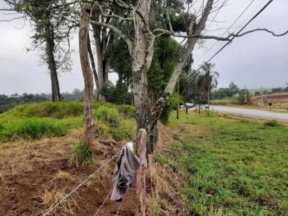 Terreno, 2 hectares - Foto 4