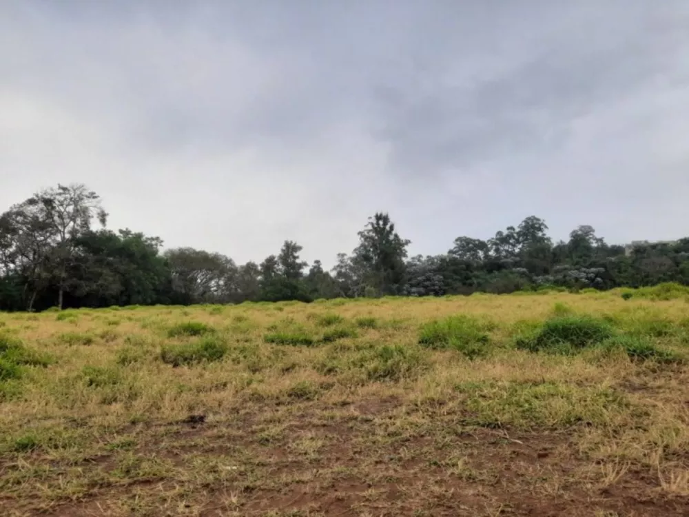 Terreno, 2 hectares - Foto 8