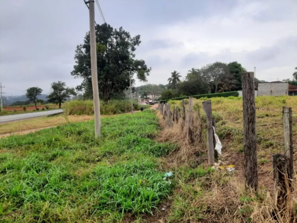 Terreno, 2 hectares - Foto 7