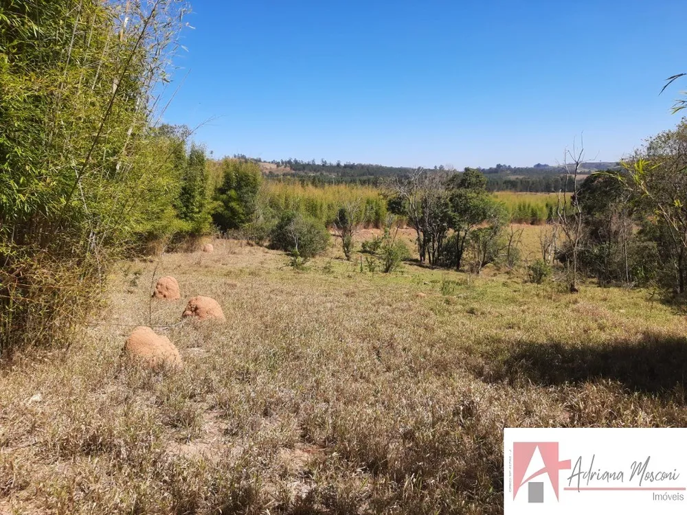 Terreno, 2 hectares - Foto 6