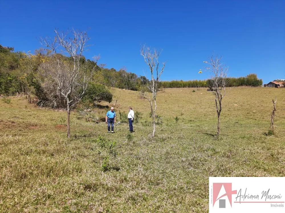 Terreno, 2 hectares - Foto 2
