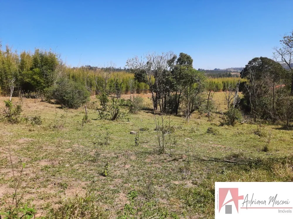 Terreno, 2 hectares - Foto 8
