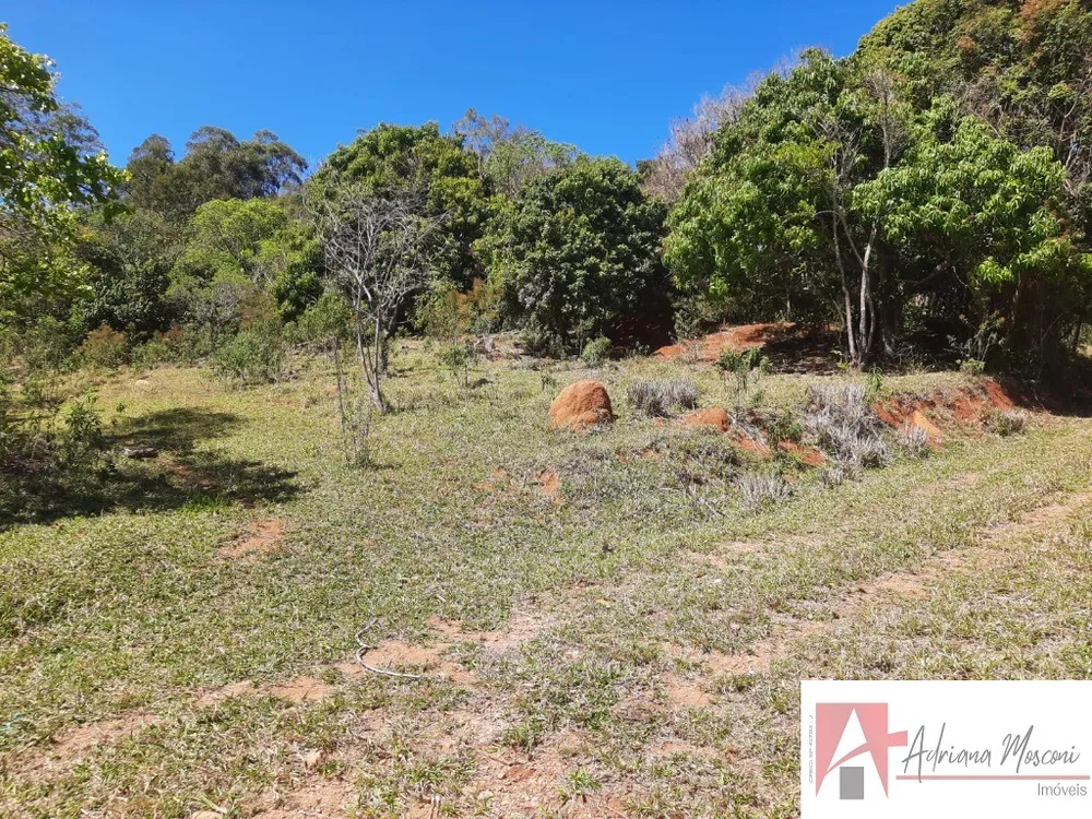 Terreno, 2 hectares - Foto 3