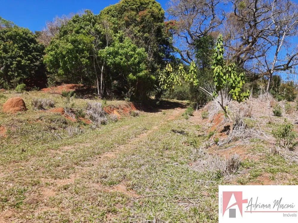 Terreno, 2 hectares - Foto 4