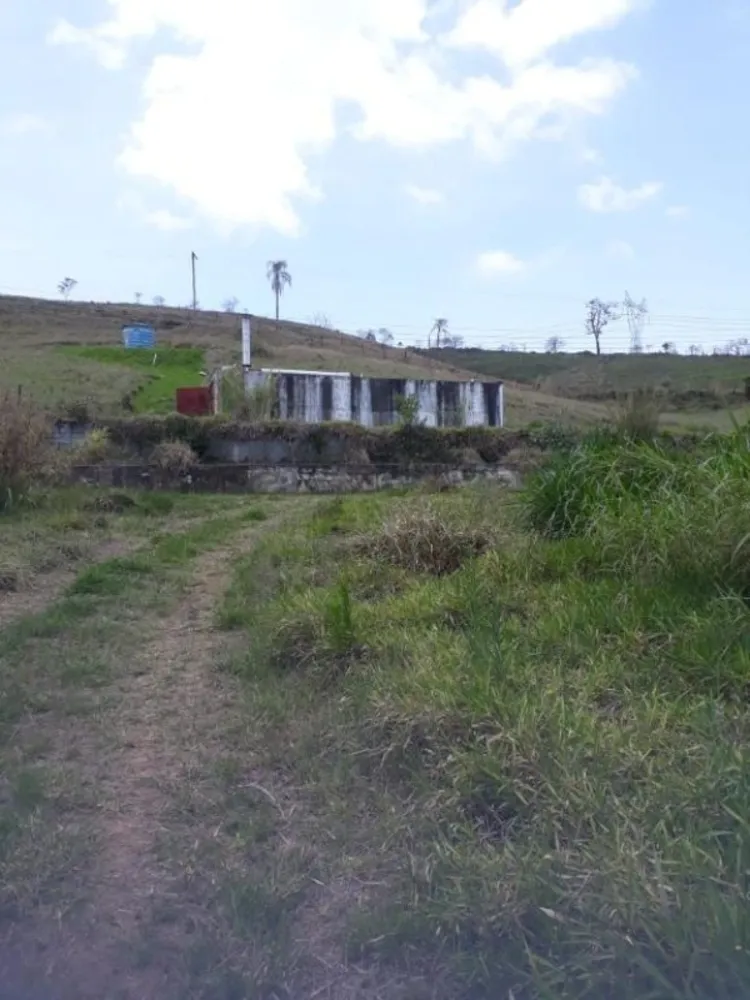 Sítio, 3 quartos, 50 hectares - Foto 3