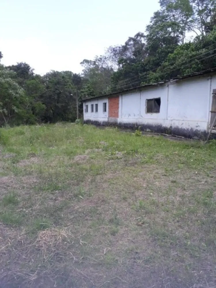 Sítio, 3 quartos, 50 hectares - Foto 11